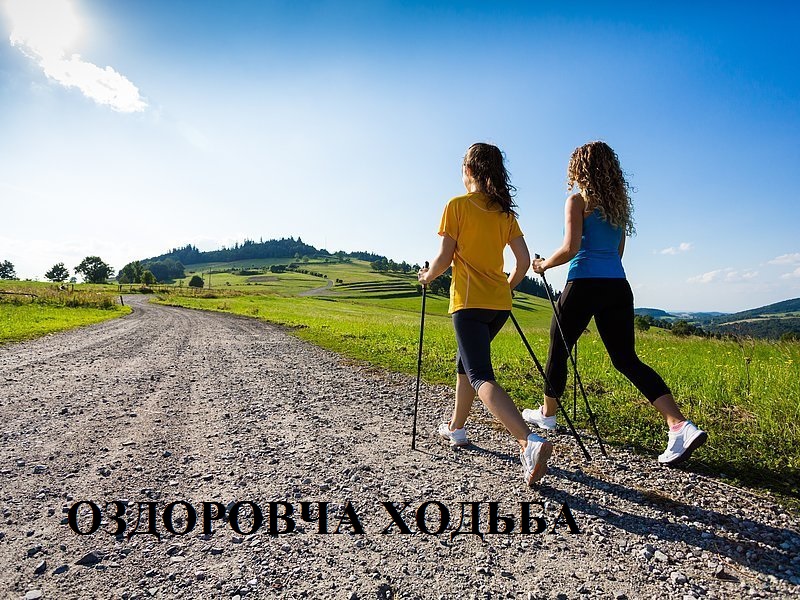 Walking by Vladimir - Ourboox.com