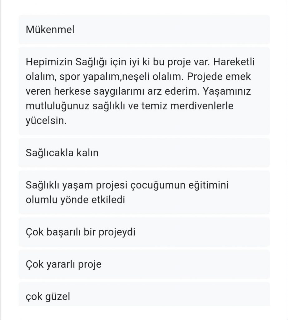 Sağlıklı Yaşam Merdiveni Veli Son Anketi Karşılaştırmalı Değerlendirmesi by Serpil Topuz - Ourboox.com