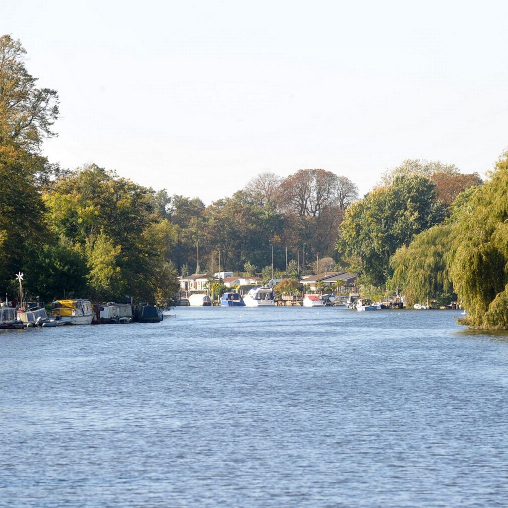 book report: three men in a boat (to say nothing about the dog) by Amiel Krantz - Ourboox.com