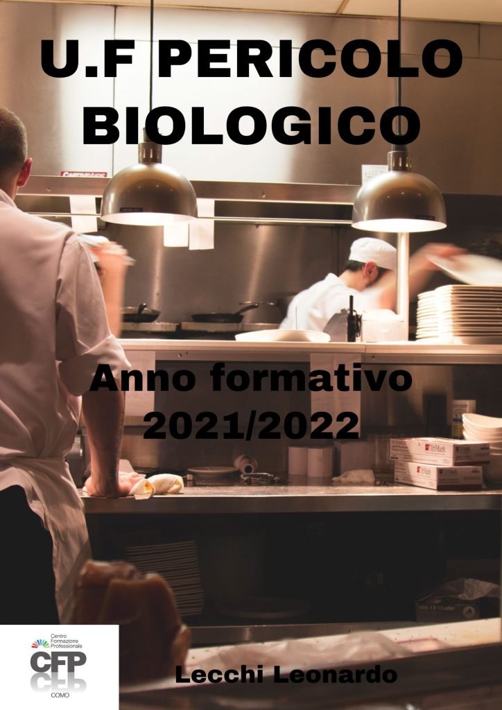 U.F. PERICOLO BIOLOGICO LECCHI LEONARDO by Leonardo Lecchi - Illustrated by Leonardo Lecchi - Ourboox.com