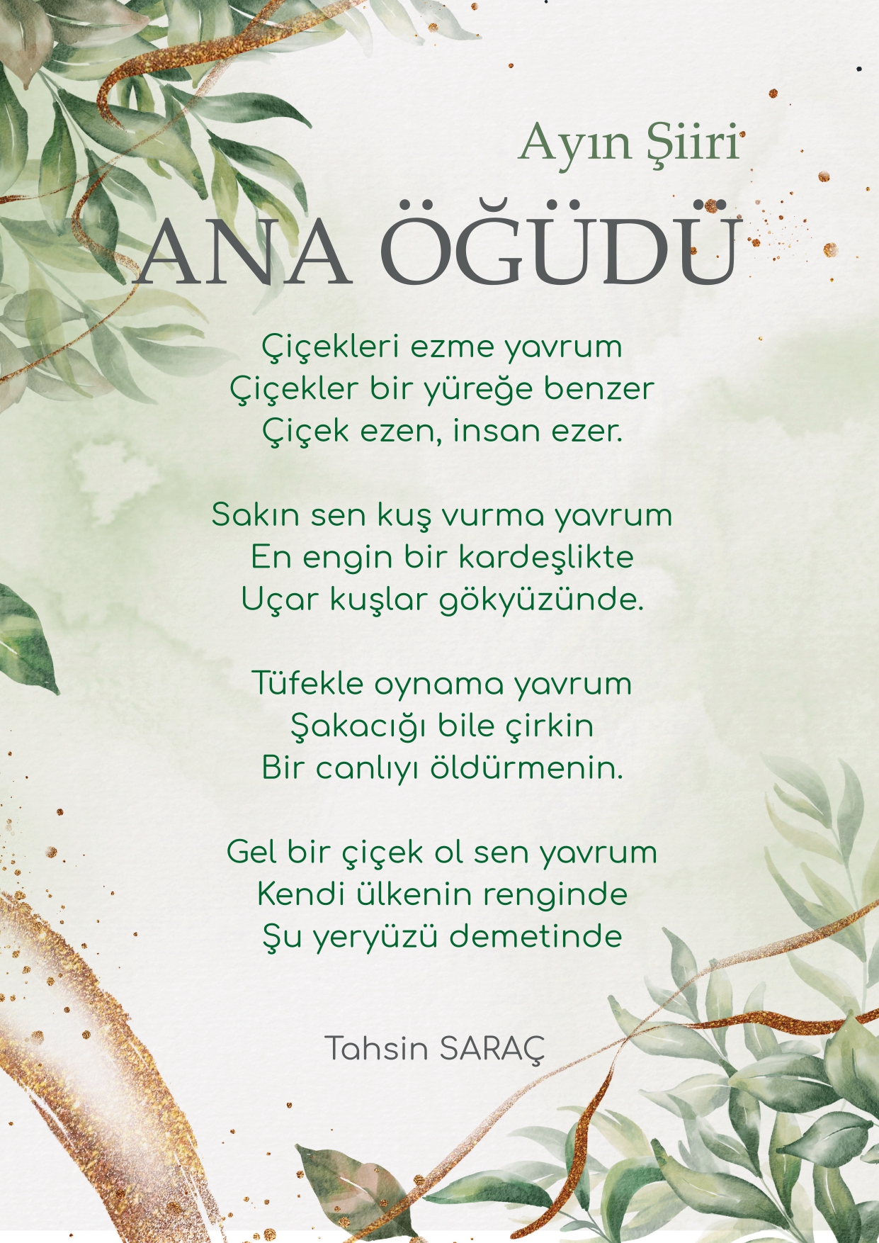 Şubat Sayısı by Keşif Gezegeni - Ourboox.com