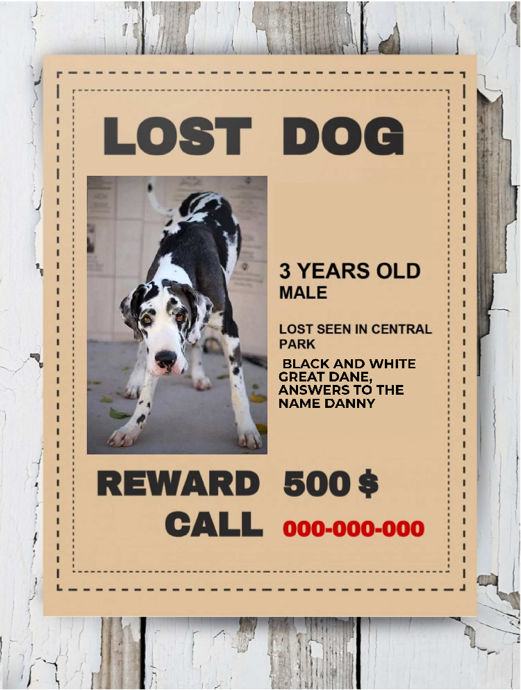 A Dogs Journey by Amit Ravish - Ourboox.com