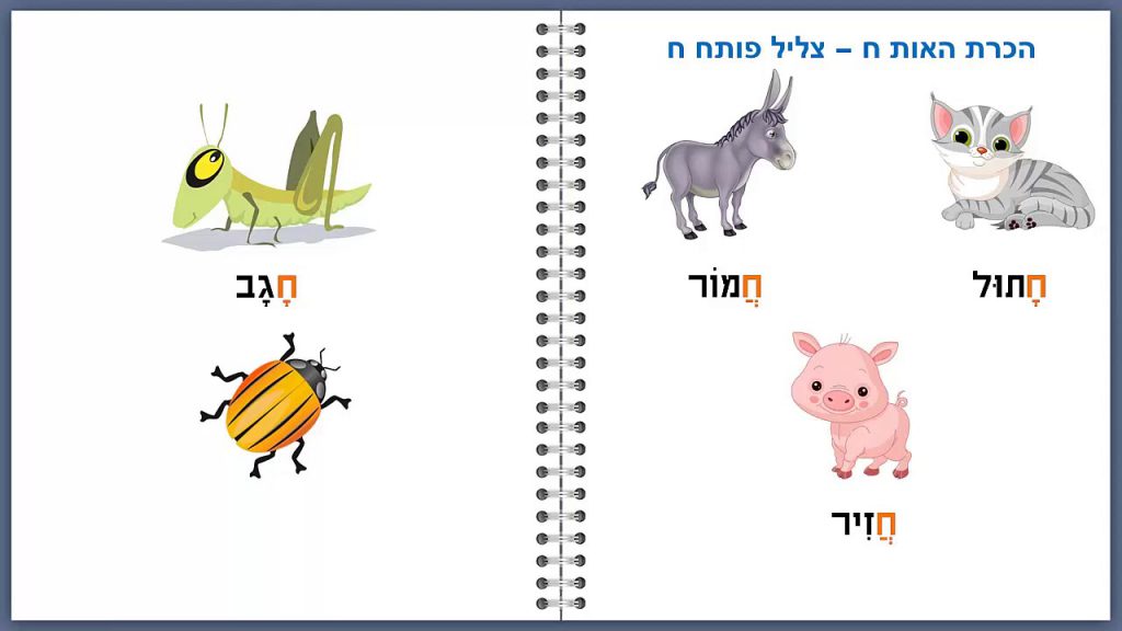 אותיות בעברית לדוברי ערבית by doaaab - Ourboox.com