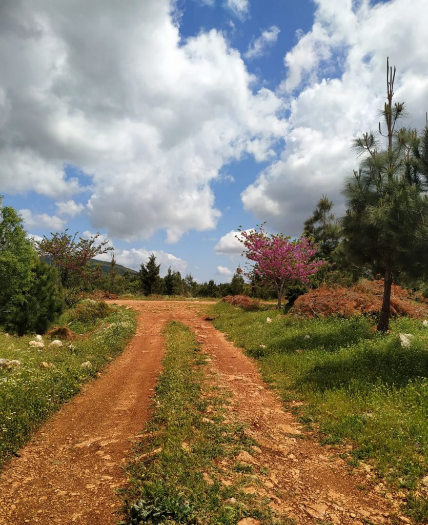 חונכות הכנה ליום מעשים טובים בהובלת מועצת תלמידים by rawya - Ourboox.com
