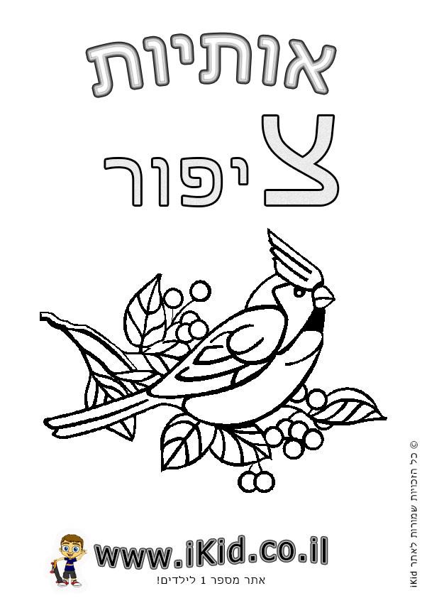 אותיות בעברית לדוברי ערבית by doaaab - Ourboox.com