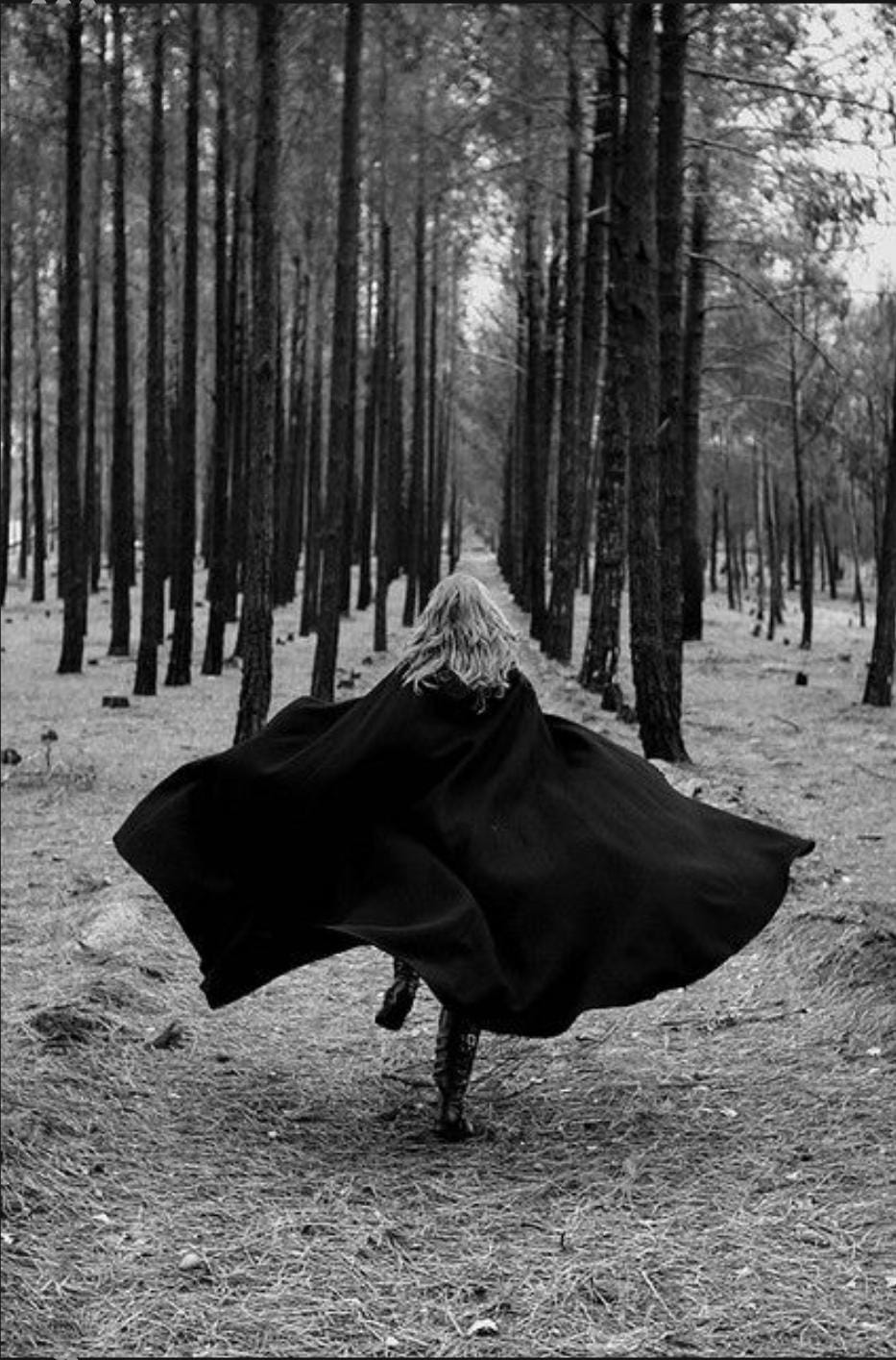 The Dragon Slayer by Shahar Asher - Ourboox.com