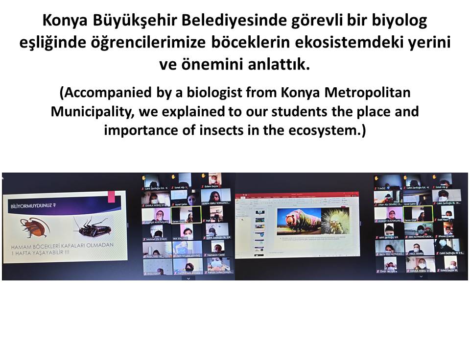 Bİİ KOZALAK VERSEM by Aysel ŞAHİN - Illustrated by AYSEL ŞAHİN - Ourboox.com