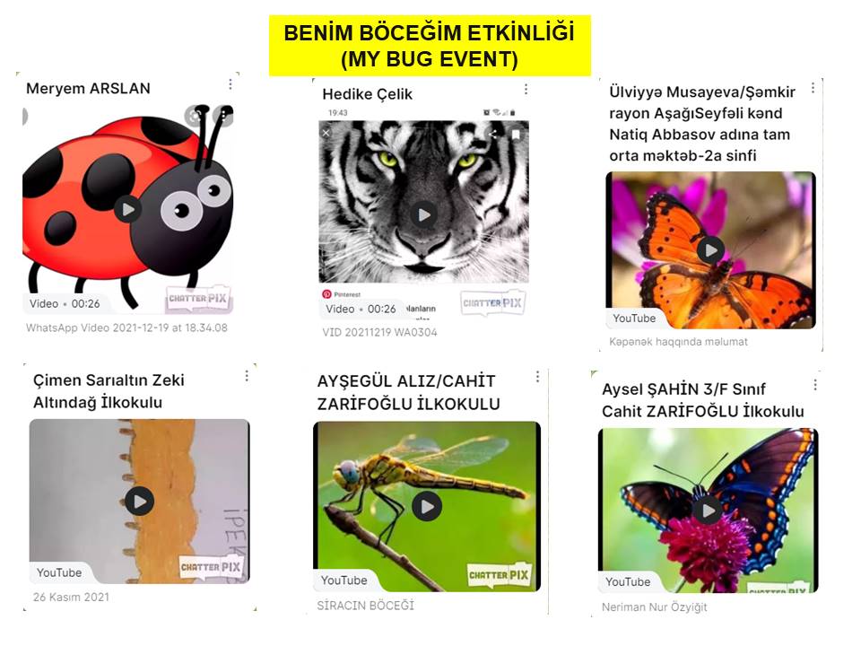 Bİİ KOZALAK VERSEM by Aysel ŞAHİN - Illustrated by AYSEL ŞAHİN - Ourboox.com