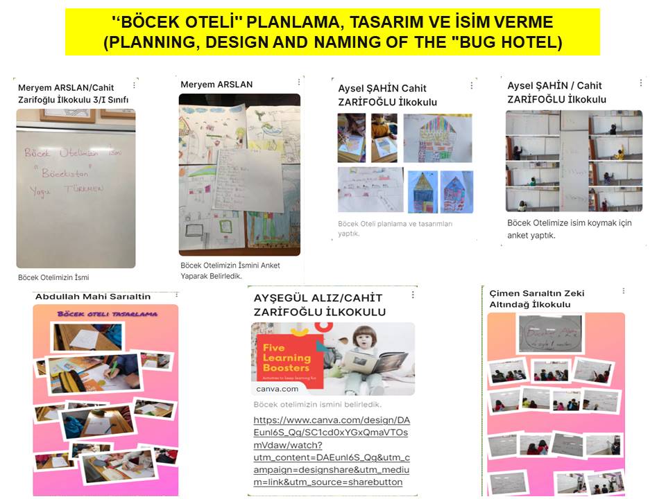 Bİİ KOZALAK VERSEM by Aysel ŞAHİN - Illustrated by AYSEL ŞAHİN - Ourboox.com