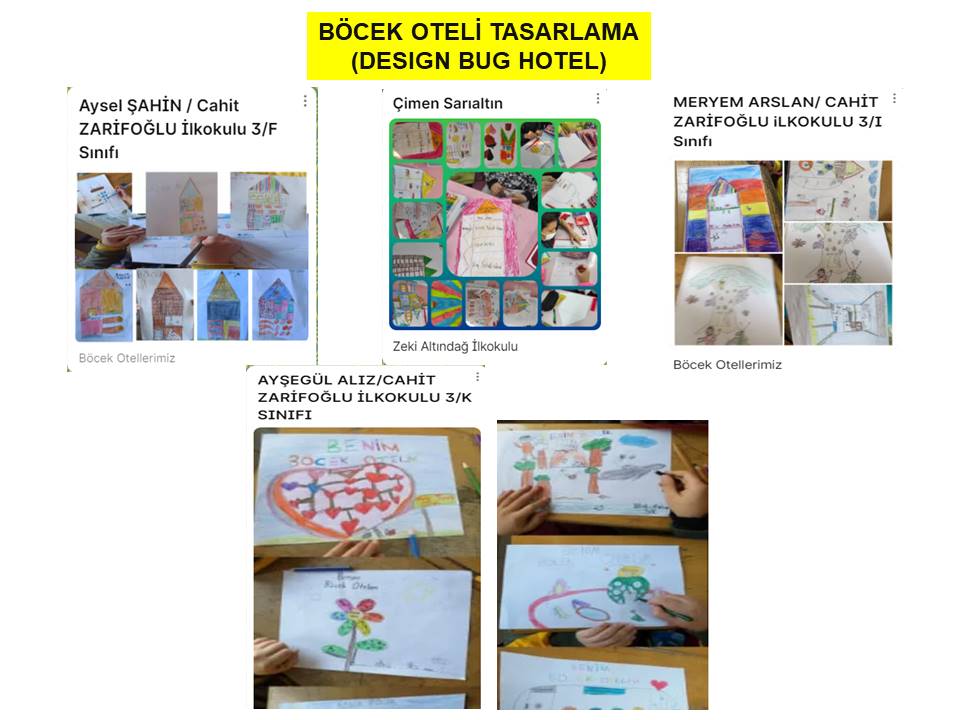 Bİİ KOZALAK VERSEM by Aysel ŞAHİN - Illustrated by AYSEL ŞAHİN - Ourboox.com