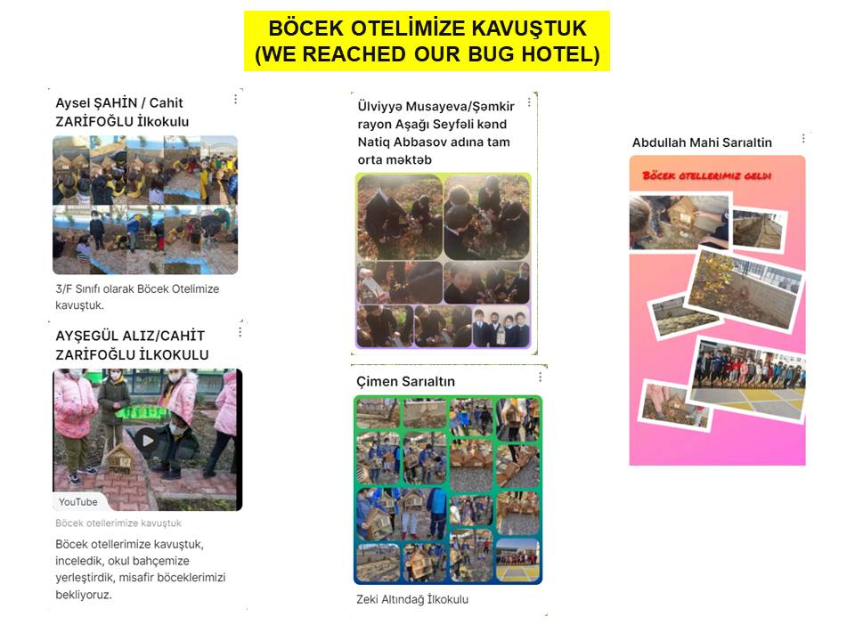 Bİİ KOZALAK VERSEM by Aysel ŞAHİN - Ourboox.com