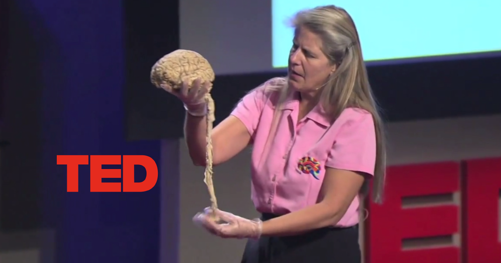 Jill Bolte Taylor by May Barzilay - Ourboox.com