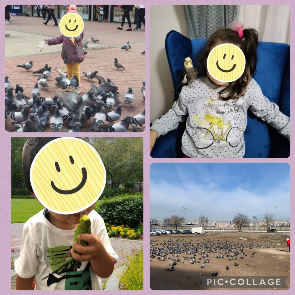 Bird Friends by Figen erdoğan - Ourboox.com