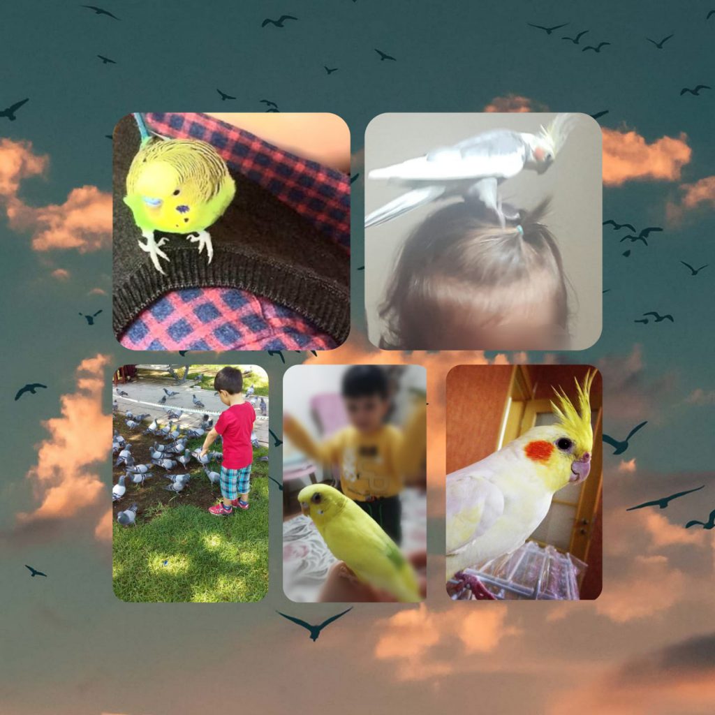 Bird Friends by Figen erdoğan - Ourboox.com