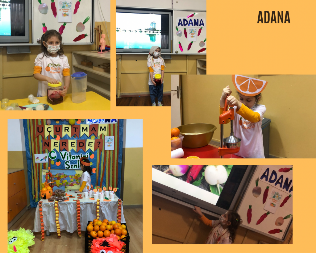 Aralık Ayı Akdeniz ve Karadeniz Bölgesi Tanıtımları by asude çakan menkü - Ourboox.com