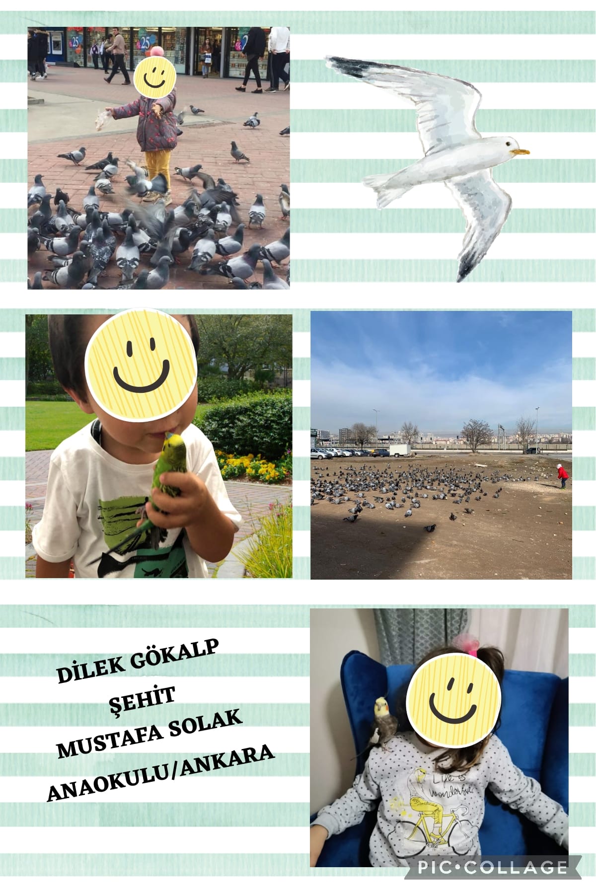 DOĞA SEVGİMİZ(KUŞ DOSTLARIMIZ) by Nagihan Çalğan - Illustrated by Biz doğayı seviyoruz. Doğadaki herşeyi sevdiğimiz gibi... Kuşlar gibi uçamasakta hayallerimiz kuşların kanadında uçuyor özgürce...İşte bizim doğa sevgimiz.. İşte bizim kuş sevgimiz...We love nature. Just like we love everything in nature... Even though we can