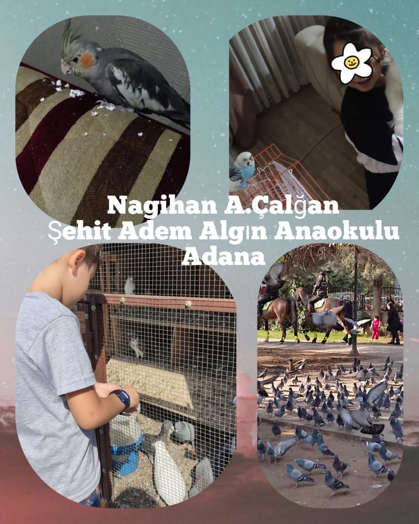 DOĞA SEVGİMİZ(KUŞ DOSTLARIMIZ) by Nagihan Çalğan - Illustrated by Biz doğayı seviyoruz. Doğadaki herşeyi sevdiğimiz gibi... Kuşlar gibi uçamasakta hayallerimiz kuşların kanadında uçuyor özgürce...İşte bizim doğa sevgimiz.. İşte bizim kuş sevgimiz...We love nature. Just like we love everything in nature... Even though we can