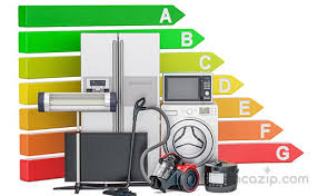 JANUARY STUDİES ACTİVİTY BOOK by hamide gül ergü - Ourboox.com