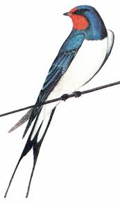 ВЕСНЯНОЧКА (від групи 1ПДЛ) by Лариса  - Ourboox.com