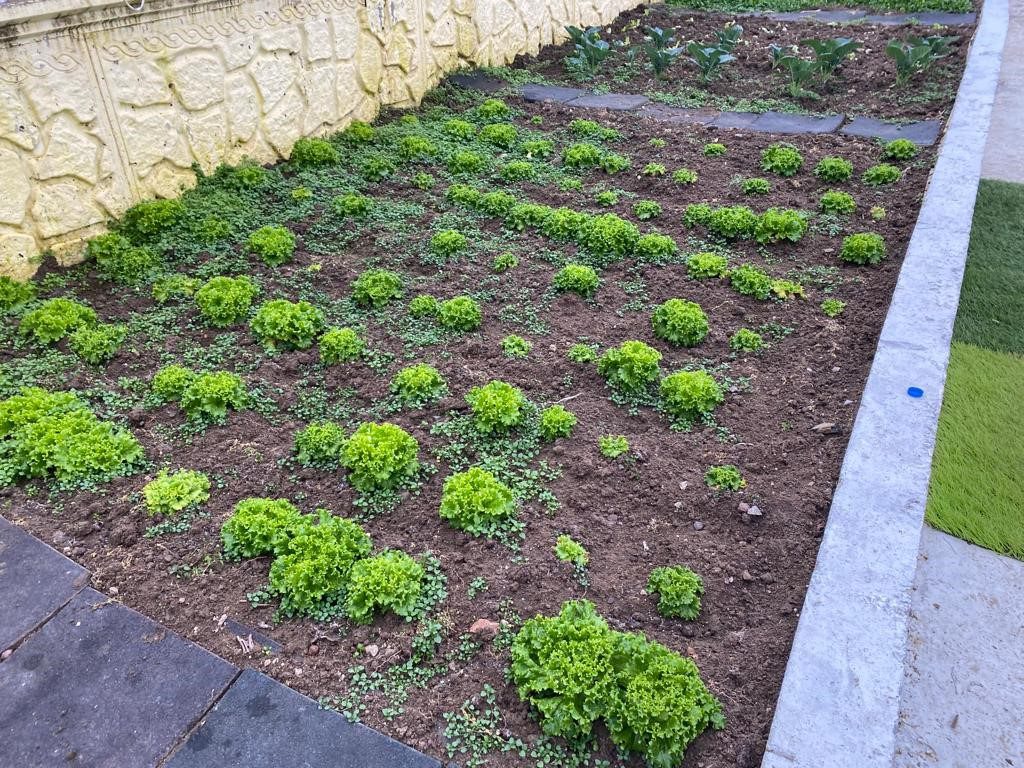 ULUBEY İLÇE MİLLİ EĞİTİM MÜDÜRLÜĞÜ MART AYI DİJİTAL DERGİSİ by Ömer MEDİN - Ourboox.com