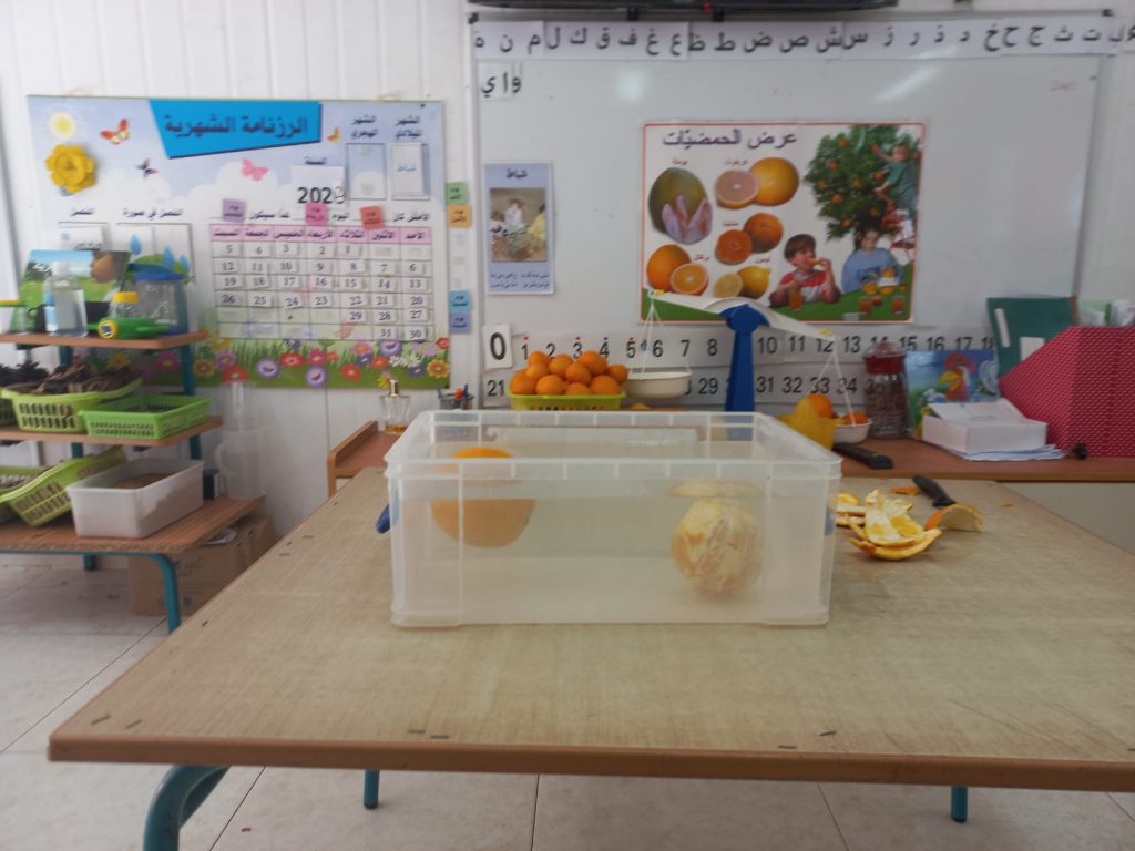 مراحل نمو النبتة by asla warda - Ourboox.com