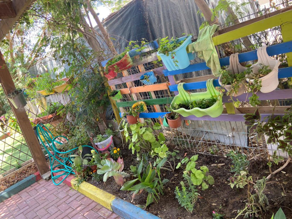 تطور العنقود by asla warda - Ourboox.com