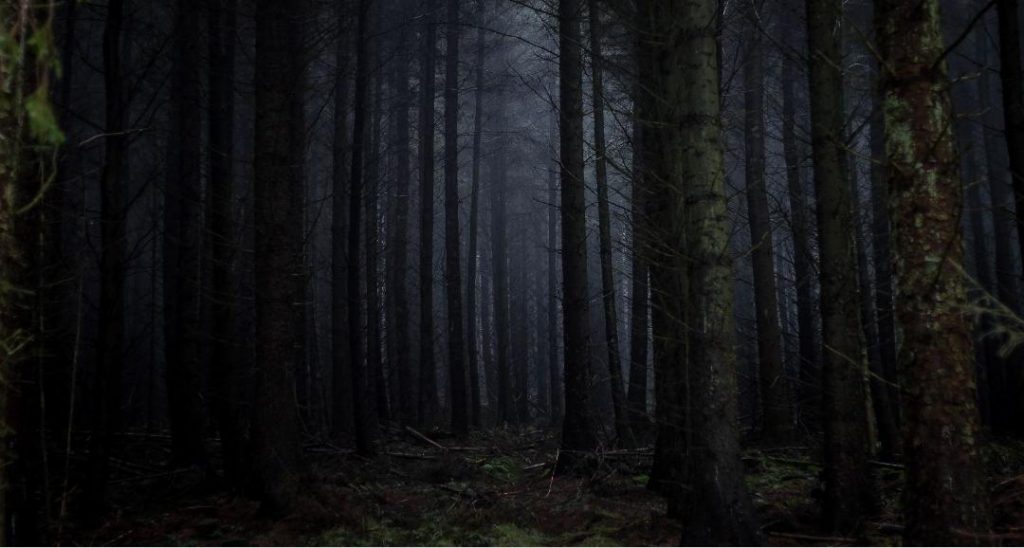 the childrens journy by Omer Digmi and Ron Nehorai - Ourboox.com