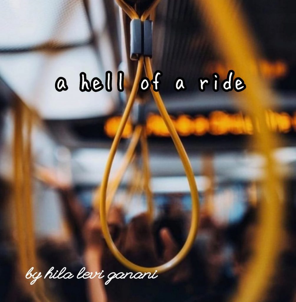 A HELL OF A RIDE by Hila levi ganani - Ourboox.com