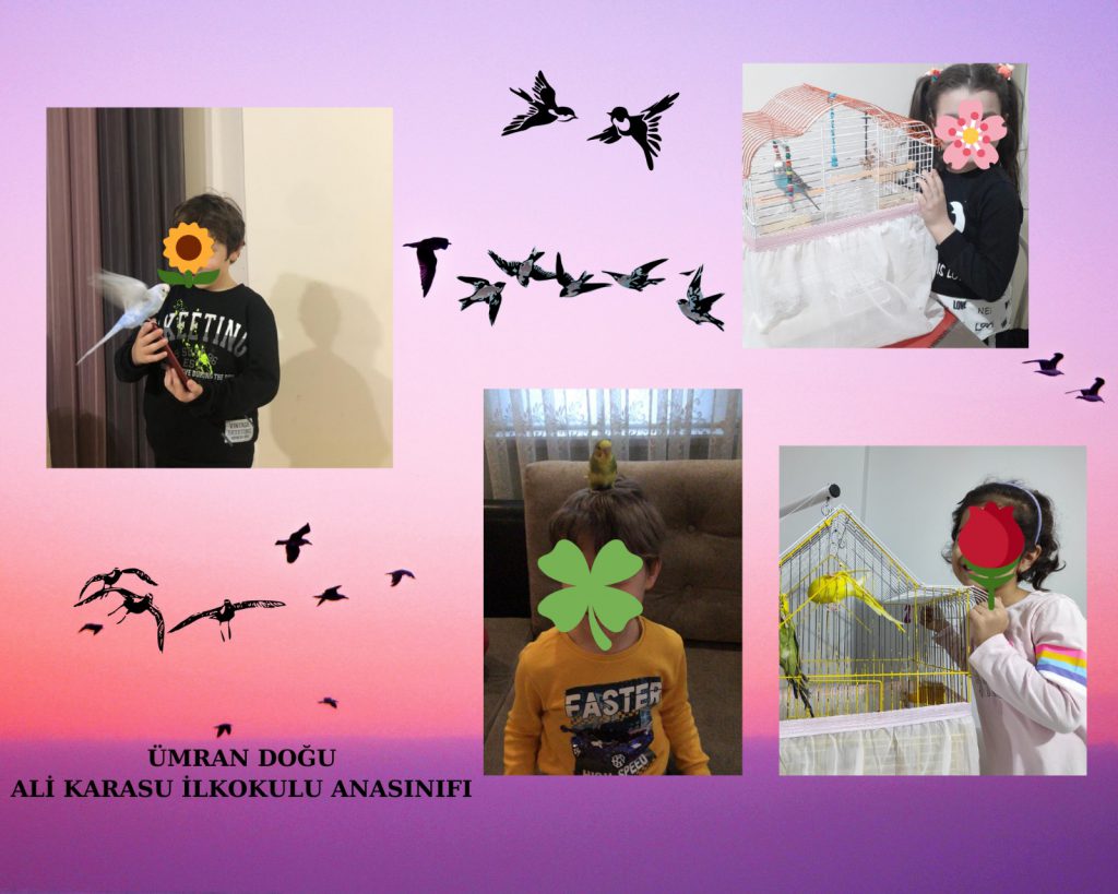 DOĞA SEVGİMİZ(KUŞ DOSTLARIMIZ) by Nagihan Çalğan - Illustrated by Biz doğayı seviyoruz. Doğadaki herşeyi sevdiğimiz gibi... Kuşlar gibi uçamasakta hayallerimiz kuşların kanadında uçuyor özgürce...İşte bizim doğa sevgimiz.. İşte bizim kuş sevgimiz...We love nature. Just like we love everything in nature... Even though we can