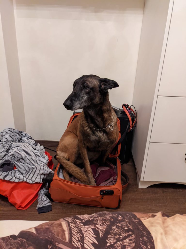 Dear Venna by Shira Mordekovitch - Illustrated by Shira Mordekovitch - Ourboox.com