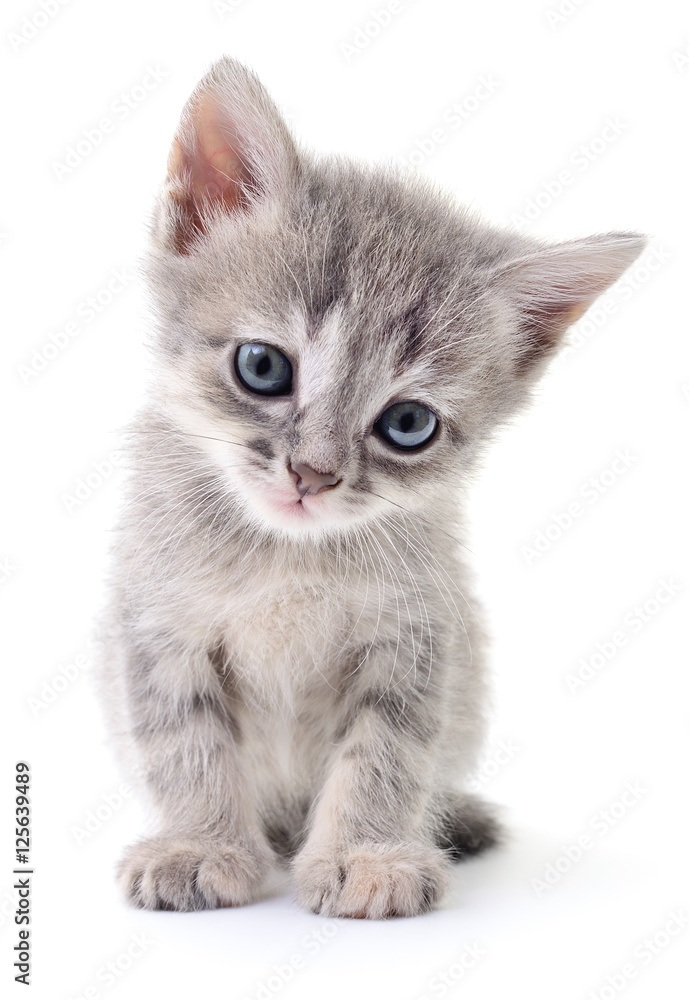 Inspe by Clémence ALEXANDRE - Ourboox.com