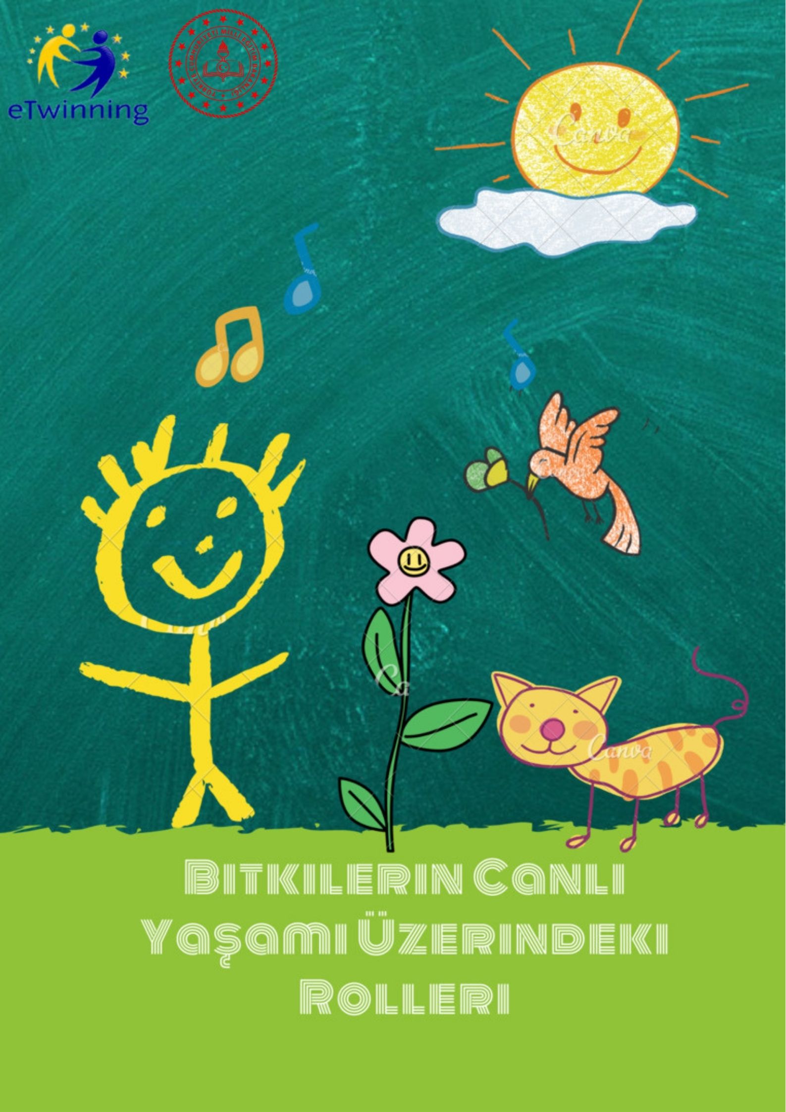 Öğretmen Afiş Çalışması Anket Sonuçları by Bitkilerin Canlı Yaşamı Üzerindeki Rolleri - Ourboox.com