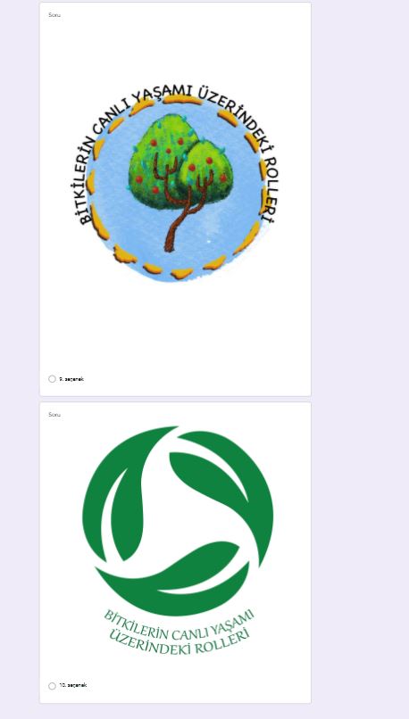 Öğretmen Logo Çalışması Anketi Sonuçları by Bitkilerin Canlı Yaşamı Üzerindeki Rolleri - Ourboox.com