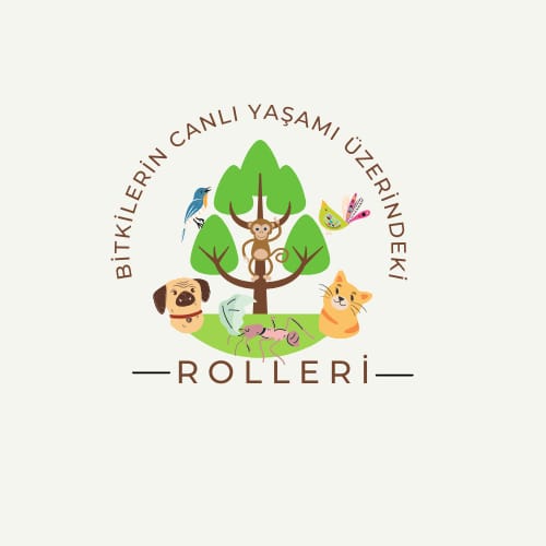 Öğretmen Logo Çalışması Anketi Sonuçları by Bitkilerin Canlı Yaşamı Üzerindeki Rolleri - Ourboox.com