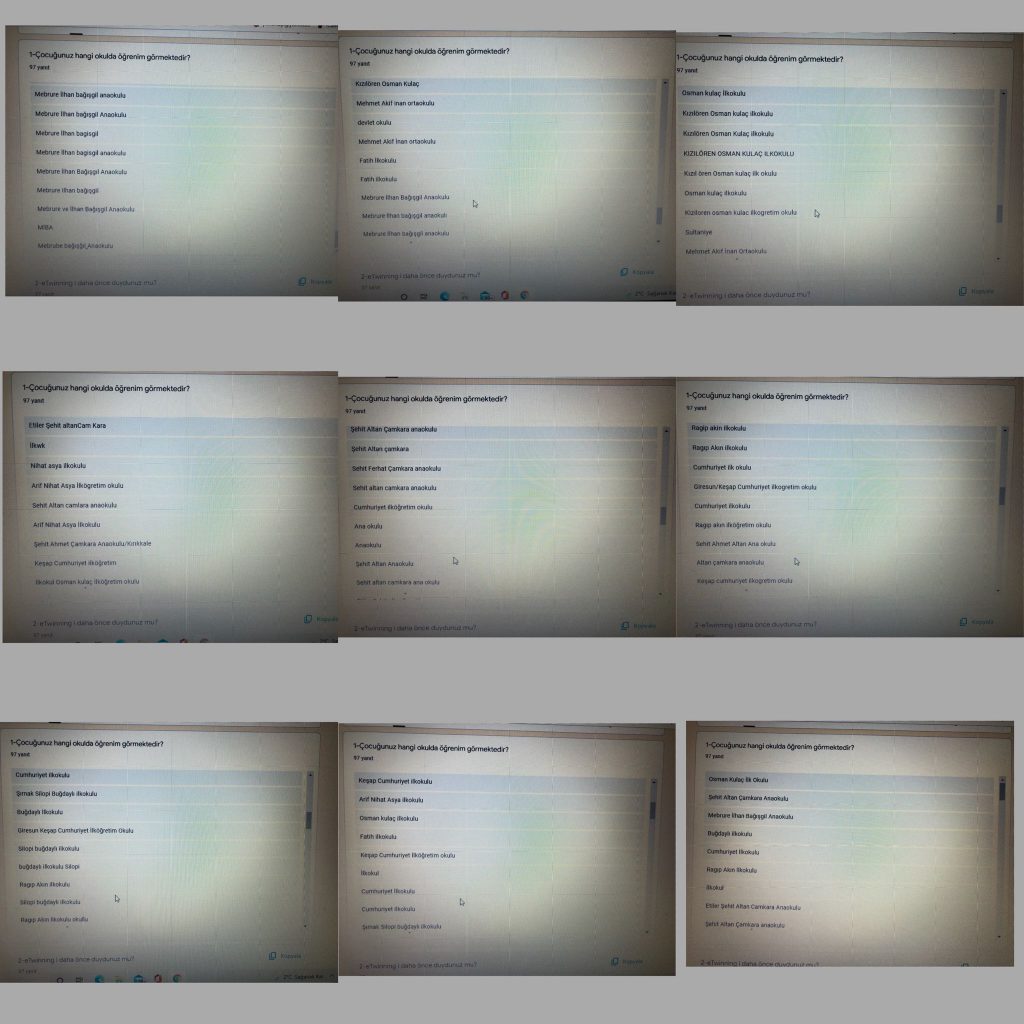 Çocuklarımıza Değer Projesi Veli Ön Anket Analizi by kübra beşiktaş - Ourboox.com