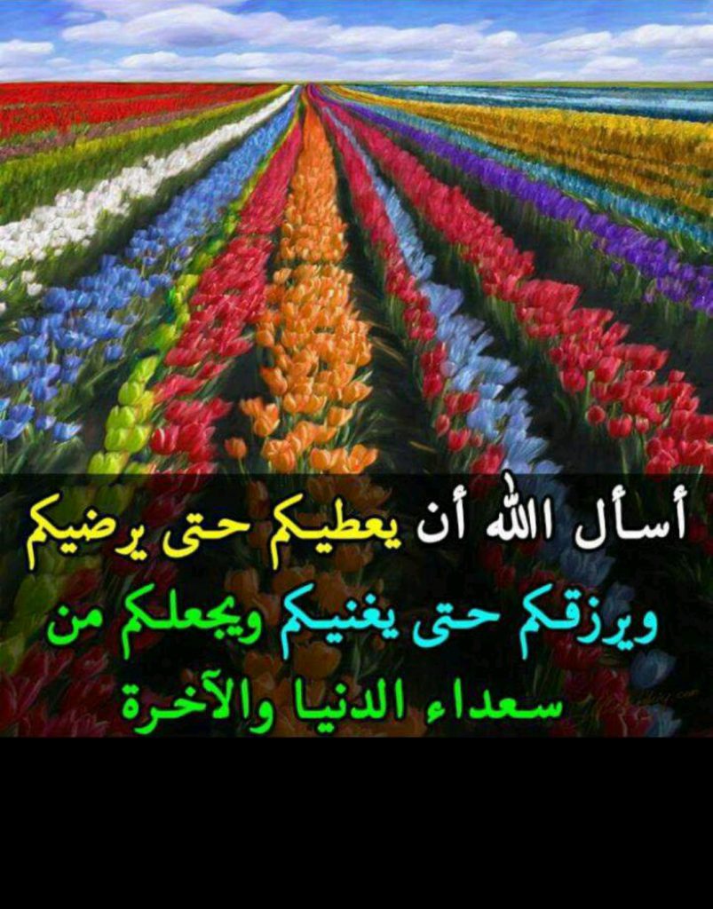 مراحل تسلسل ظواهر فصل الربيع by Samar - Illustrated by روضه القمر - Ourboox.com