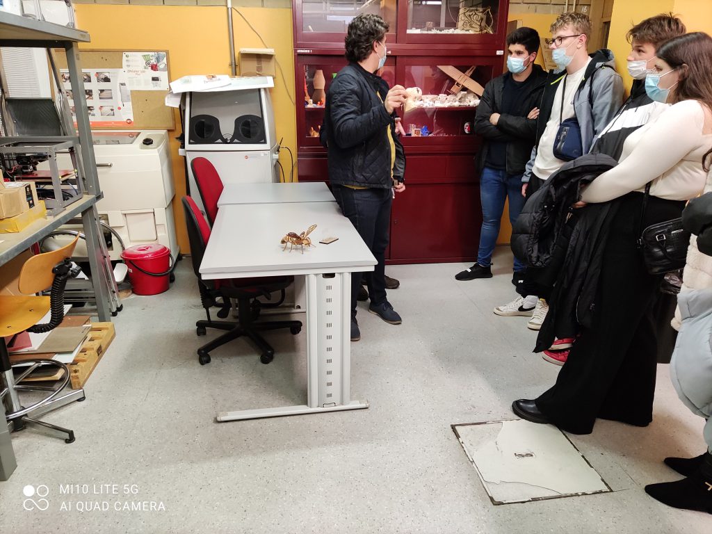 Mobility to Portugal – “Discovering my STEAM vocation” – by Monica Rocchi - Ourboox.com