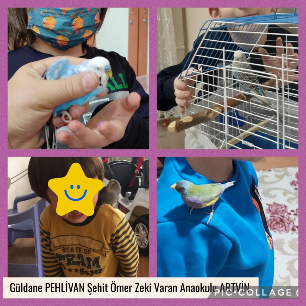 DOĞA SEVGİMİZ(KUŞ DOSTLARIMIZ) by Nagihan Çalğan - Illustrated by Biz doğayı seviyoruz. Doğadaki herşeyi sevdiğimiz gibi... Kuşlar gibi uçamasakta hayallerimiz kuşların kanadında uçuyor özgürce...İşte bizim doğa sevgimiz.. İşte bizim kuş sevgimiz...We love nature. Just like we love everything in nature... Even though we can