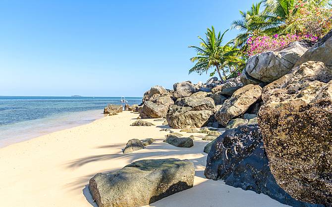 si vola in Madagascar! by Lucia Silvetti - Illustrated by Lucia Silvetti - Ourboox.com