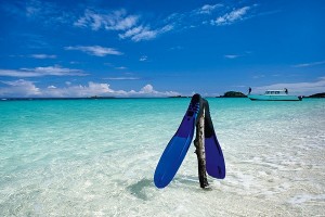 si vola in Madagascar! by Lucia Silvetti - Illustrated by Lucia Silvetti - Ourboox.com