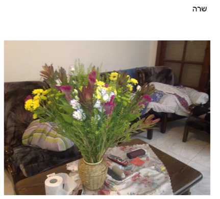 שרה by sara fogel - Illustrated by עוקשי (פוגל ) שרה - Ourboox.com