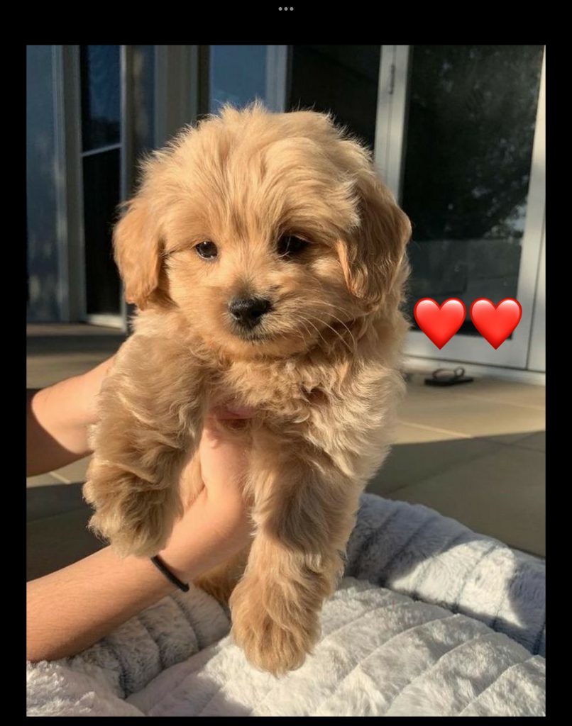 About my life by Reena abu okal - Ourboox.com