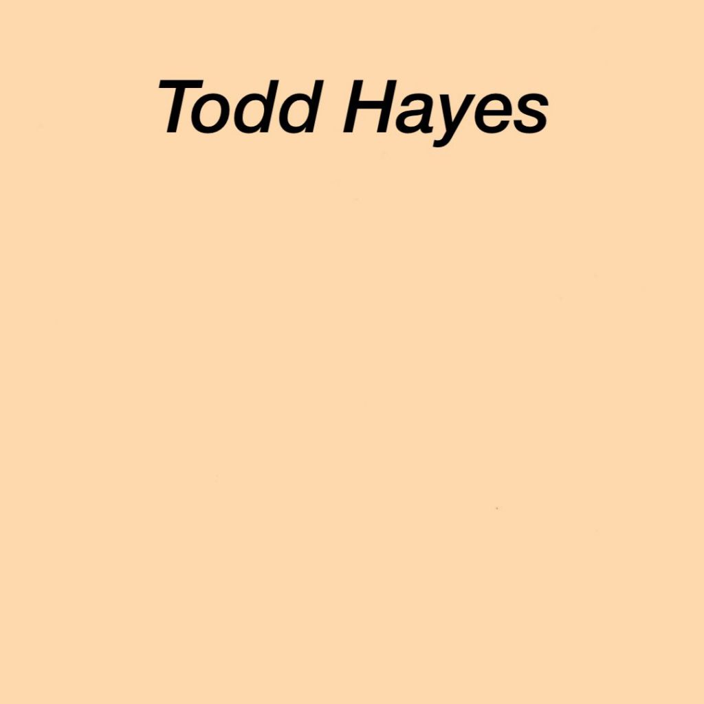 Todd Hayes by Işın Nur Taş, Nisan Duru Mit, Elif Sude Arnavutoğlu - Ourboox.com