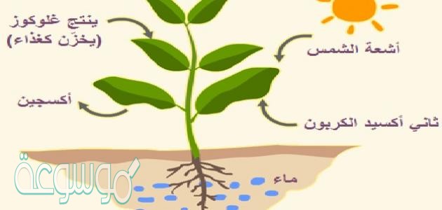 التشابه و الاختلاف by Ahmad Abdnabi - Ourboox.com