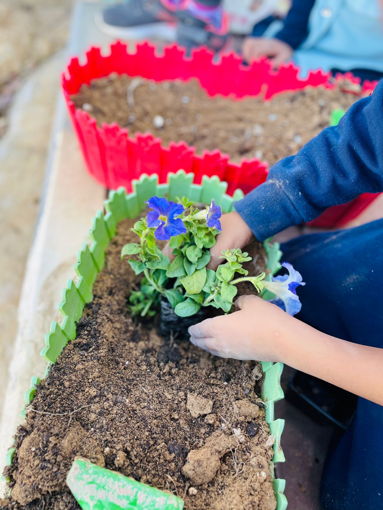 حديقة بستان الورود by zenab - Illustrated by بستان الورود - Ourboox.com