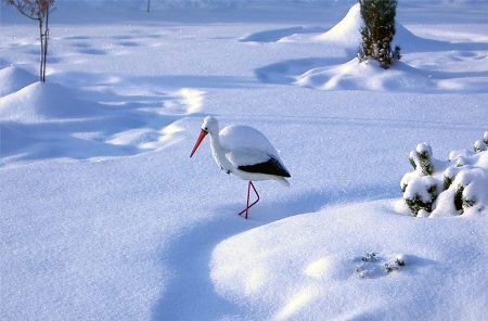 ВЕСНЯНОЧКА (від групи 1ПДЛ) by Лариса  - Ourboox.com