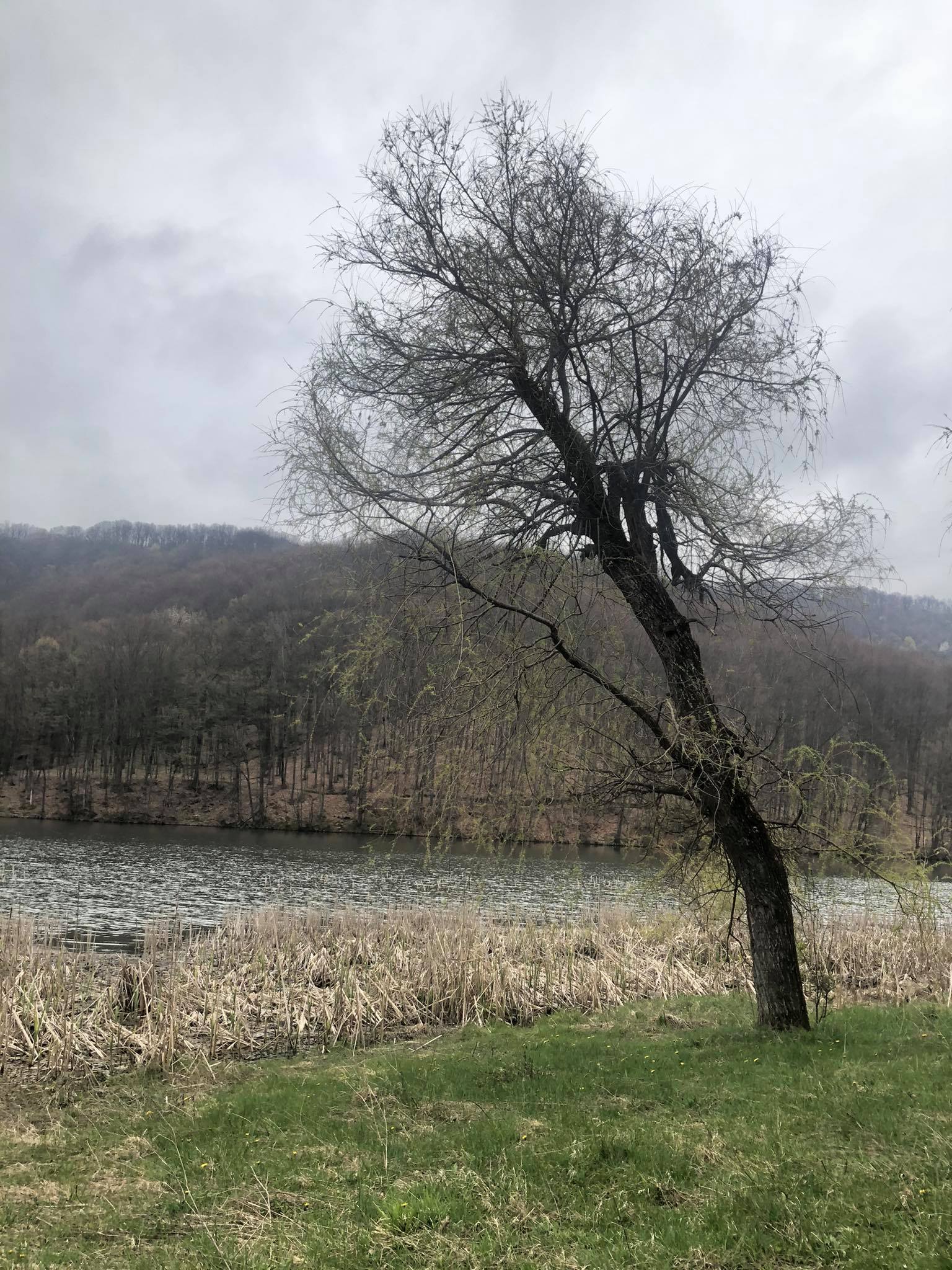 Сортиране на масив by Zornitsa Staneva Dzhenkova - Ourboox.com