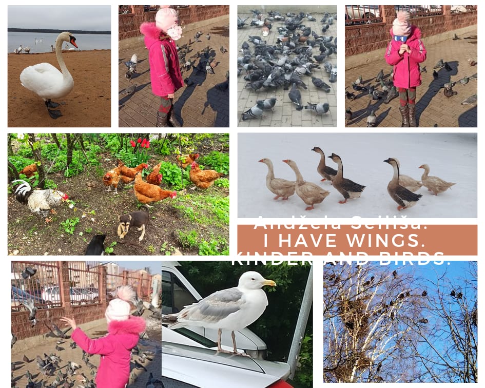 DOĞA SEVGİMİZ(KUŞ DOSTLARIMIZ) by Nagihan Çalğan - Illustrated by Biz doğayı seviyoruz. Doğadaki herşeyi sevdiğimiz gibi... Kuşlar gibi uçamasakta hayallerimiz kuşların kanadında uçuyor özgürce...İşte bizim doğa sevgimiz.. İşte bizim kuş sevgimiz...We love nature. Just like we love everything in nature... Even though we can