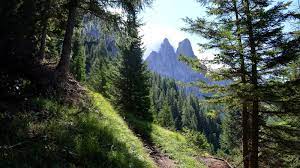 Dalla terra all’universo andata e ritorno by Maddalena - Ourboox.com