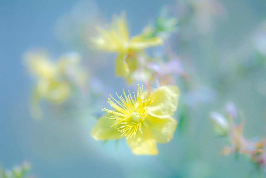 ВЕСНЯНОЧКА (від групи 1ОДП) by Лариса  - Ourboox.com